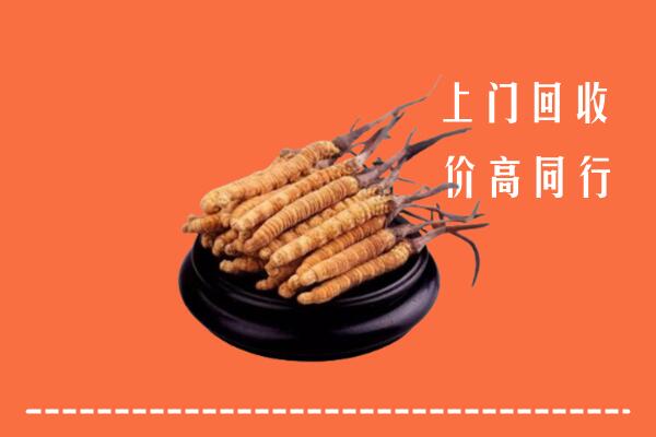 高价求购：桂林回收散虫草