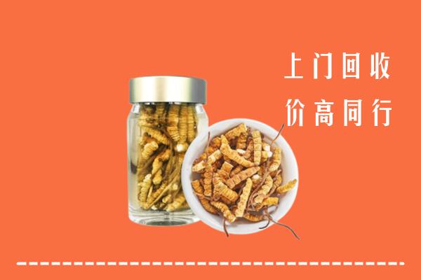 桂林回收冬虫夏草