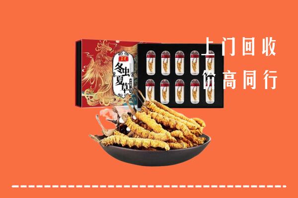 桂林回收虫草